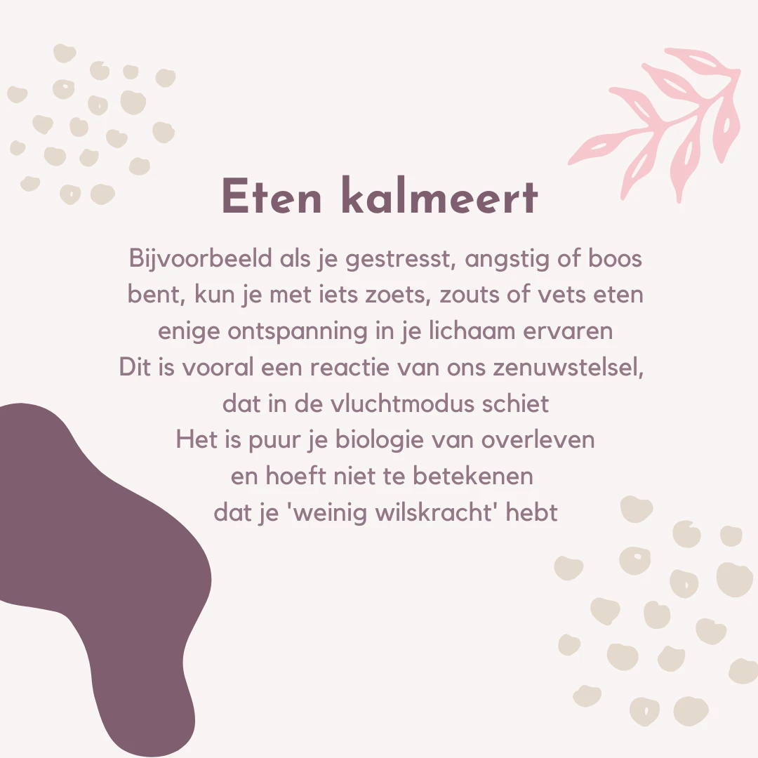 Zenuwstelsel uitleg 2