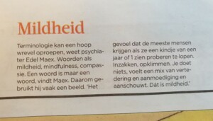 Mildheid