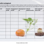 Mindful eetdagboek voorbeeld